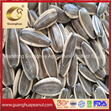 Factory Wholesale Sunflower Seed 361 New Crop with Best Quality